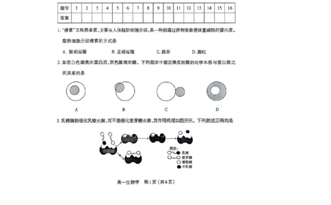 山西省太原市2024-2025学年高一上学期1月期末生物学试卷（图片版，含答案）_2025年03月试卷_0316山西省太原市2024-2025学年高一上学期期末考试