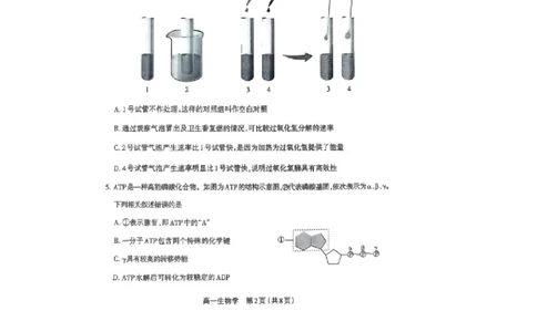 山西省太原市2024-2025学年高一上学期1月期末生物学试卷（图片版，含答案）_2025年03月试卷_0316山西省太原市2024-2025学年高一上学期期末考试