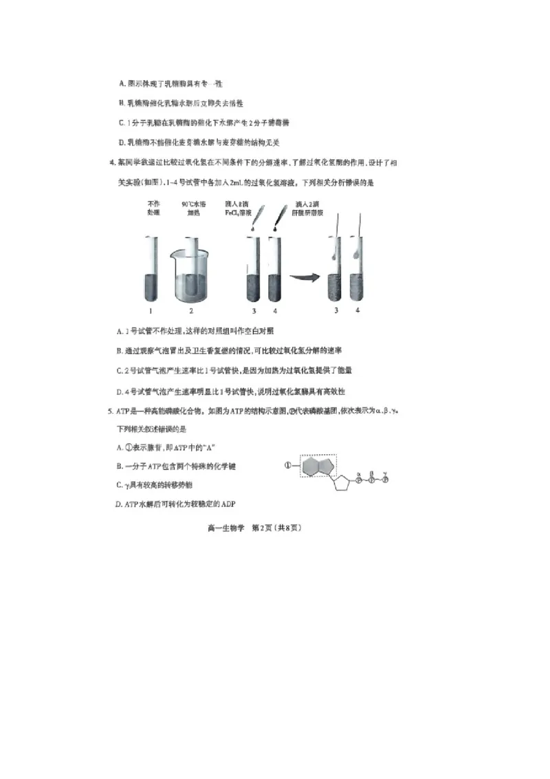 山西省太原市2024-2025学年高一上学期1月期末生物学试卷（图片版，含答案）_2025年03月试卷_0316山西省太原市2024-2025学年高一上学期期末考试