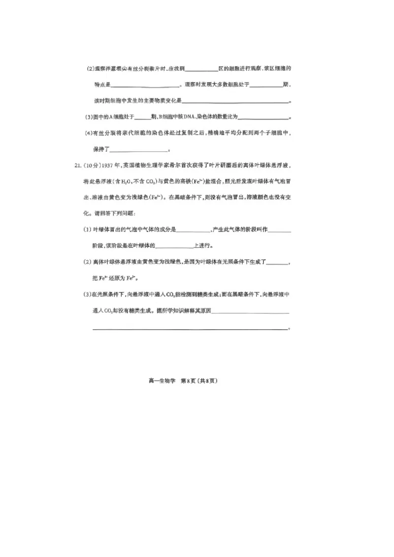 山西省太原市2024-2025学年高一上学期1月期末生物学试卷（图片版，含答案）_2025年03月试卷_0316山西省太原市2024-2025学年高一上学期期末考试