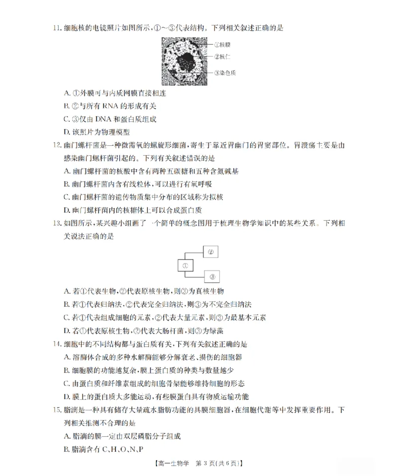 山西省三晋联盟山西名校2025-2026学年高一上学期11月期中联合考试（26-126A）生物_2025年12月高一试卷