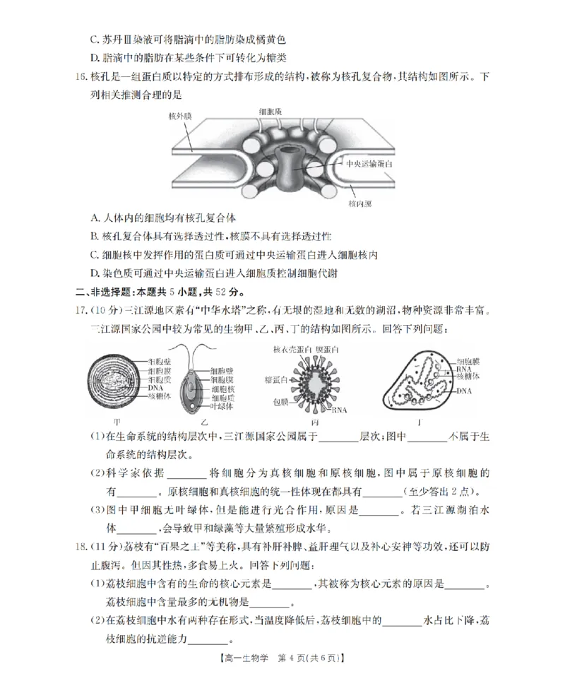 山西省三晋联盟山西名校2025-2026学年高一上学期11月期中联合考试（26-126A）生物_2025年12月高一试卷