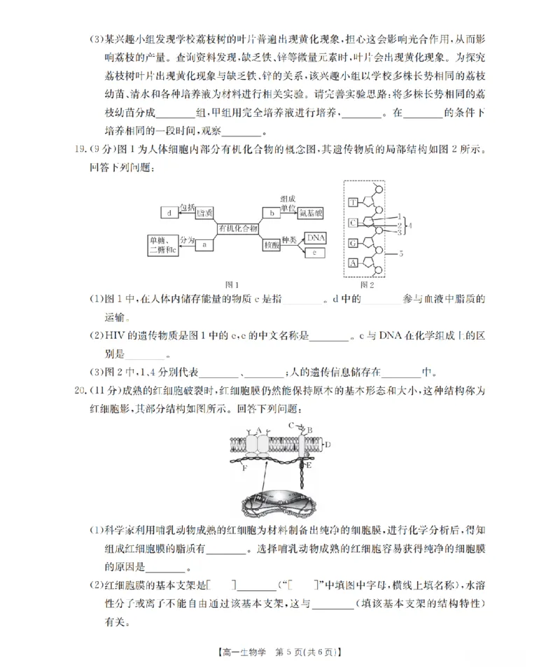 山西省三晋联盟山西名校2025-2026学年高一上学期11月期中联合考试（26-126A）生物_2025年12月高一试卷