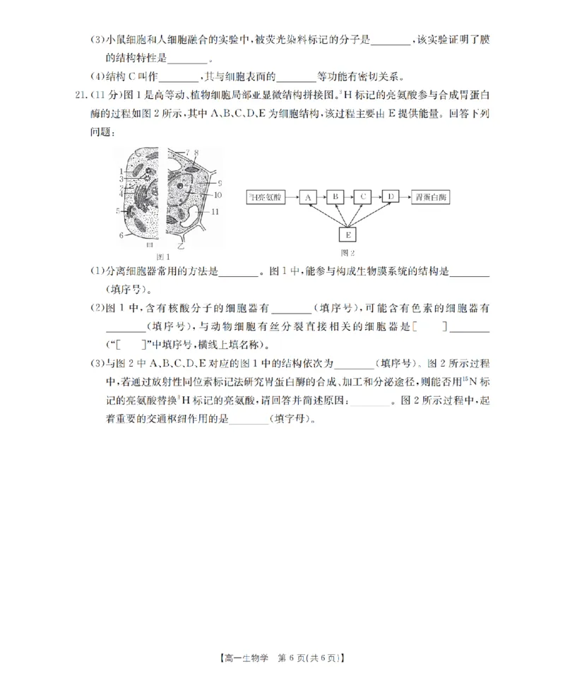 山西省三晋联盟山西名校2025-2026学年高一上学期11月期中联合考试（26-126A）生物_2025年12月高一试卷