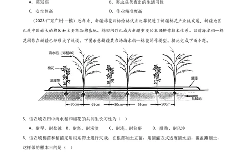 热点专项10（二）探寻新疆棉花（原卷版）_新高考复习资料_2024年新高考复习资料_一轮复习资料_完2024年高考地理一轮复习考点通关卷（新高考）_热点专项