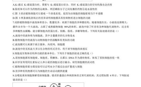 广东省湛江市2024-2025学年高一上学期期末调研考试生物试卷_2025年02月试卷_0213广东省湛江市2024-2025学年高一上学期1月期末调研考试