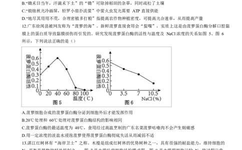 广东省湛江市2024-2025学年高一上学期期末调研考试生物试卷_2025年02月试卷_0213广东省湛江市2024-2025学年高一上学期1月期末调研考试
