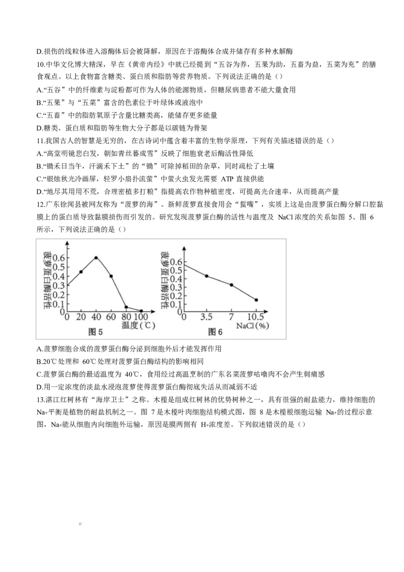 广东省湛江市2024-2025学年高一上学期期末调研考试生物试卷_2025年02月试卷_0213广东省湛江市2024-2025学年高一上学期1月期末调研考试