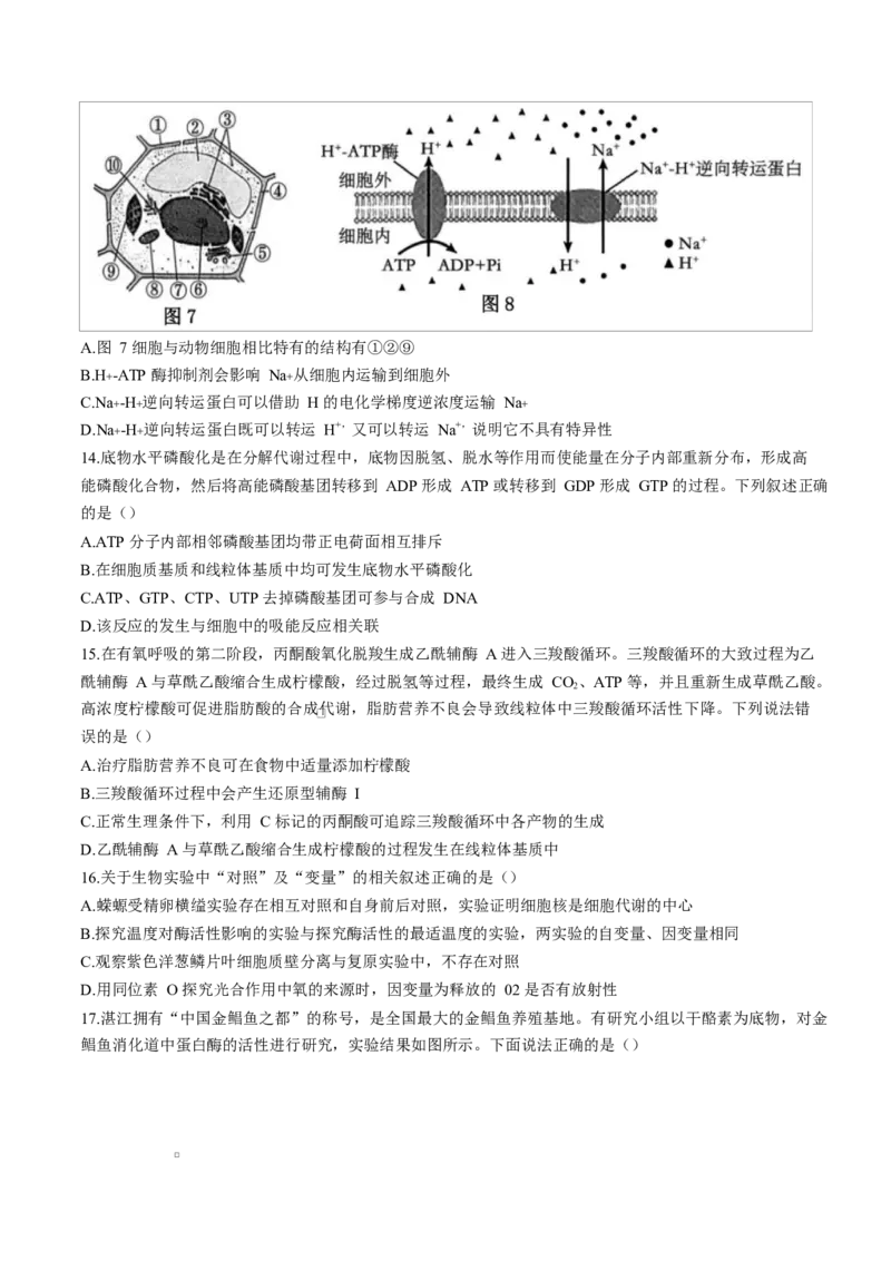 广东省湛江市2024-2025学年高一上学期期末调研考试生物试卷_2025年02月试卷_0213广东省湛江市2024-2025学年高一上学期1月期末调研考试