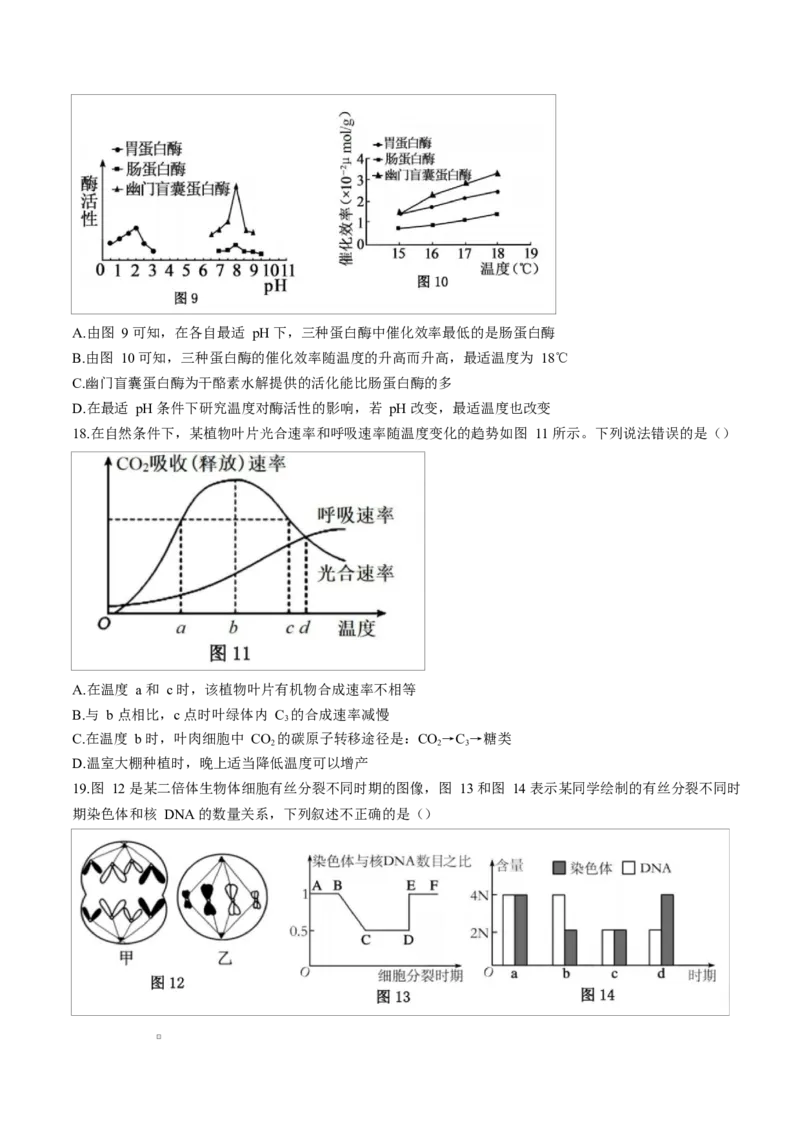 广东省湛江市2024-2025学年高一上学期期末调研考试生物试卷_2025年02月试卷_0213广东省湛江市2024-2025学年高一上学期1月期末调研考试