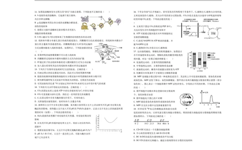 山东省菏泽市第一中学2025-2026学年高一1月质量检测生物试题_2026年01月高一试卷_260117山东省菏泽市第一中学2025-2026学年高一上学期1月质量检测