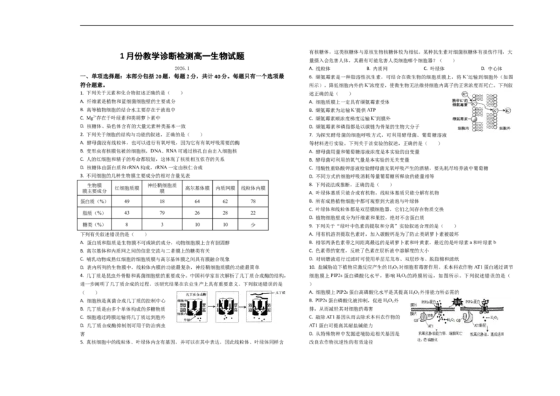 山东省菏泽市第一中学2025-2026学年高一1月质量检测生物试题_2026年01月高一试卷_260117山东省菏泽市第一中学2025-2026学年高一上学期1月质量检测