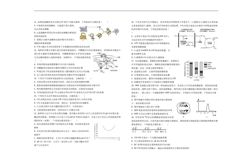 山东省菏泽市第一中学2025-2026学年高一1月质量检测生物试题_2026年01月高一试卷_260117山东省菏泽市第一中学2025-2026学年高一上学期1月质量检测