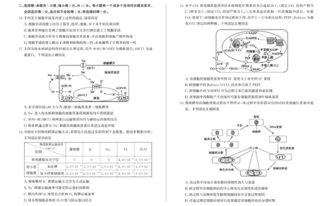山东省滨州市2024-2025学年高一上学期1月期末生物试题_2025年02月试卷_0213山东省滨州市2024-2025学年高一上学期1月期末考试