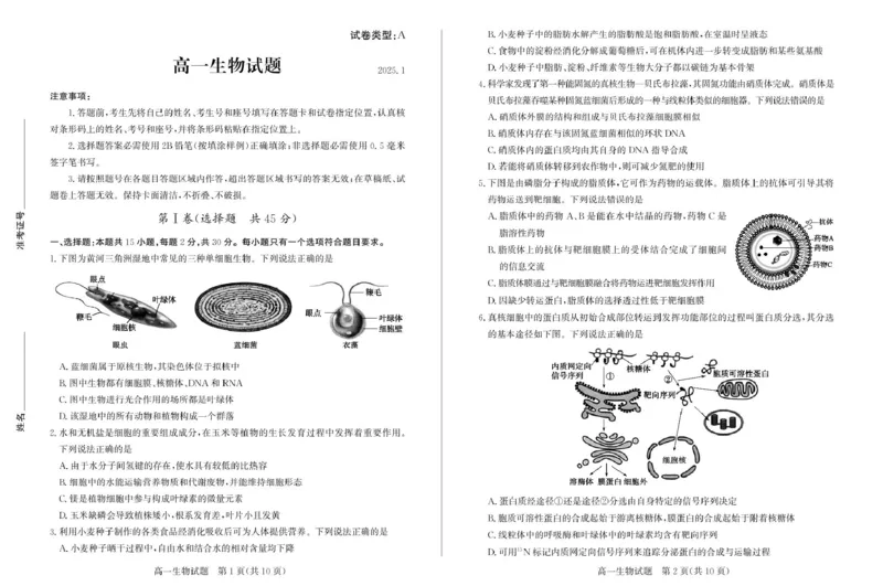 山东省滨州市2024-2025学年高一上学期1月期末生物试题_2025年02月试卷_0213山东省滨州市2024-2025学年高一上学期1月期末考试