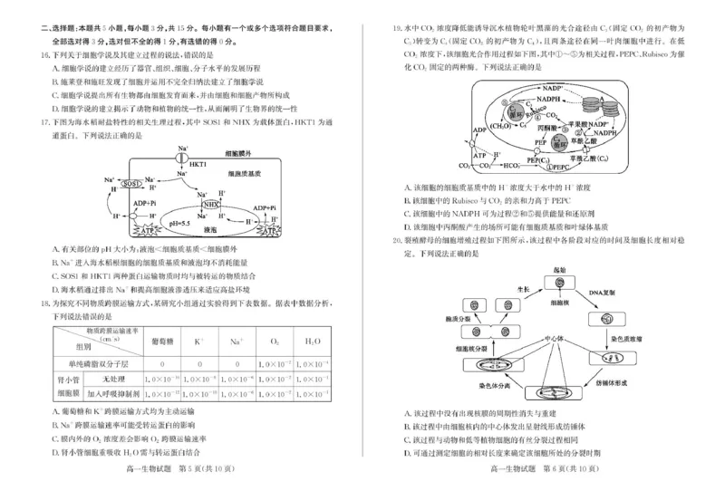 山东省滨州市2024-2025学年高一上学期1月期末生物试题_2025年02月试卷_0213山东省滨州市2024-2025学年高一上学期1月期末考试