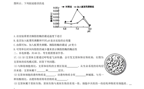 广东省佛山市H7联盟2024~2025学年高一上学期12月联考生物试题_2024年12月试卷_1205金太阳广东省佛山市H7联盟2024-2025学年高一上学期12月联考