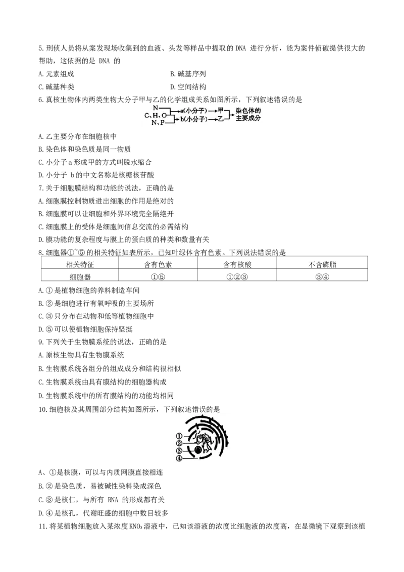 广东省佛山市H7联盟2024~2025学年高一上学期12月联考生物试题_2024年12月试卷_1205金太阳广东省佛山市H7联盟2024-2025学年高一上学期12月联考