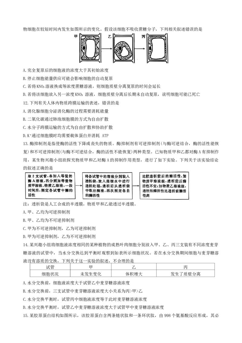 广东省佛山市H7联盟2024~2025学年高一上学期12月联考生物试题_2024年12月试卷_1205金太阳广东省佛山市H7联盟2024-2025学年高一上学期12月联考