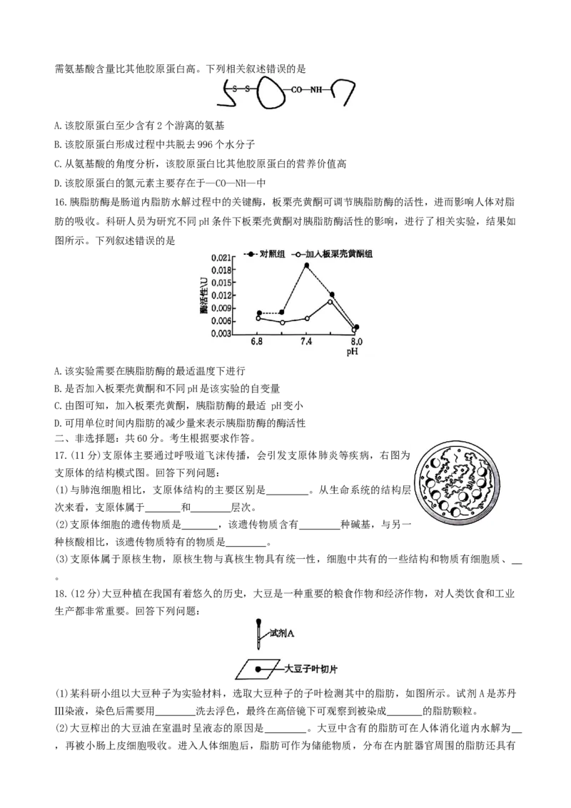 广东省佛山市H7联盟2024~2025学年高一上学期12月联考生物试题_2024年12月试卷_1205金太阳广东省佛山市H7联盟2024-2025学年高一上学期12月联考