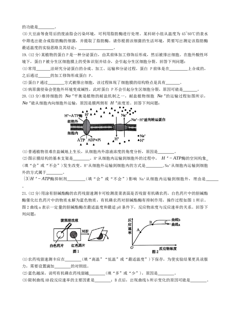 广东省佛山市H7联盟2024~2025学年高一上学期12月联考生物试题_2024年12月试卷_1205金太阳广东省佛山市H7联盟2024-2025学年高一上学期12月联考