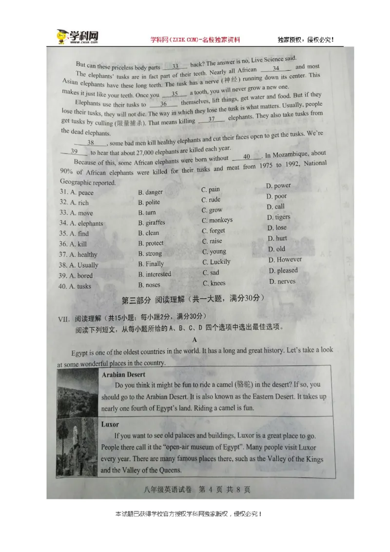 安徽省合肥市包河区2019-2020学年八年级上学期期末教学质量检测英语试题（图片版，无答案）_最新人教版英语八年级上册_老版（含有参考价值）_各地期中期末真题