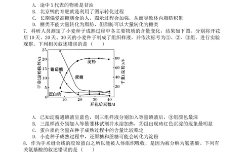 广东实验中学2024&mdash;2025学年（上）高一级期中考试生物学试卷_2024年11月试卷_1129广东省实验中学2024-2025学年高一上学期期中考试_广东省实验中学2024-2025学年高一上学期期中考试生物试题