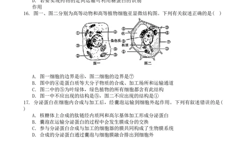 广东实验中学2024&mdash;2025学年（上）高一级期中考试生物学试卷_2024年11月试卷_1129广东省实验中学2024-2025学年高一上学期期中考试_广东省实验中学2024-2025学年高一上学期期中考试生物试题