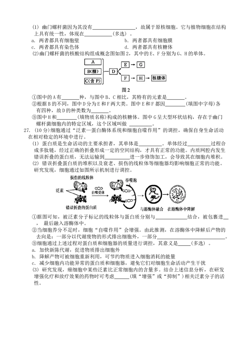 广东实验中学2024&mdash;2025学年（上）高一级期中考试生物学试卷_2024年11月试卷_1129广东省实验中学2024-2025学年高一上学期期中考试_广东省实验中学2024-2025学年高一上学期期中考试生物试题