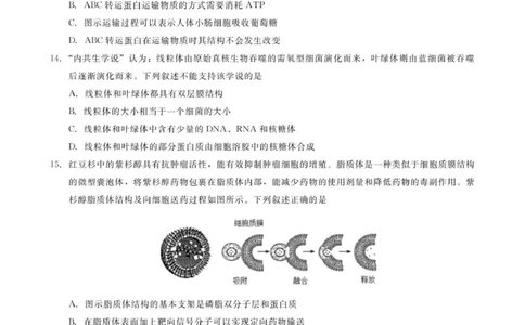 广东省多校联考2025-2026学年高一上学期12月期中生物试题_2025年12月高一试卷_251213广东省多校联考2025-2026学年高一上学期12月期中