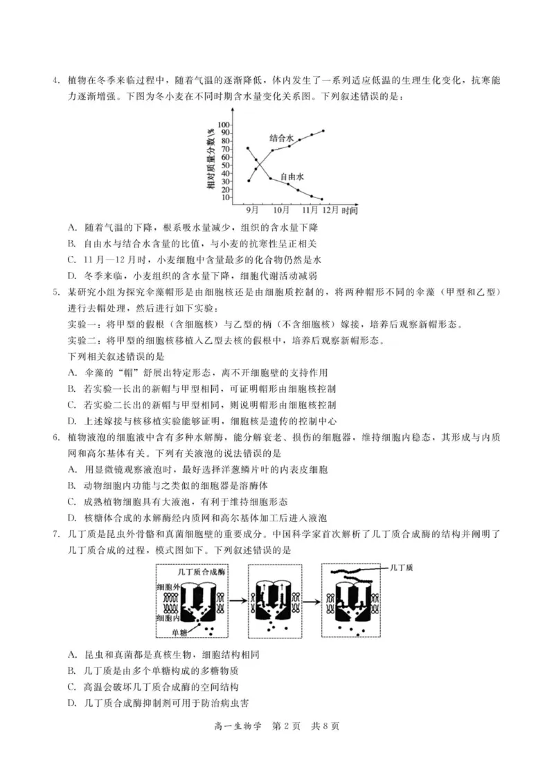 广东省多校联考2025-2026学年高一上学期12月期中生物试题_2025年12月高一试卷_251213广东省多校联考2025-2026学年高一上学期12月期中