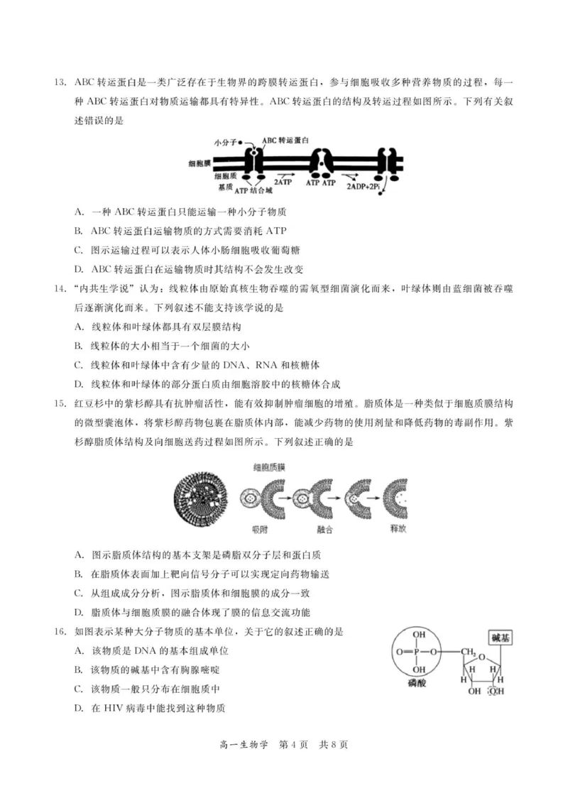 广东省多校联考2025-2026学年高一上学期12月期中生物试题_2025年12月高一试卷_251213广东省多校联考2025-2026学年高一上学期12月期中