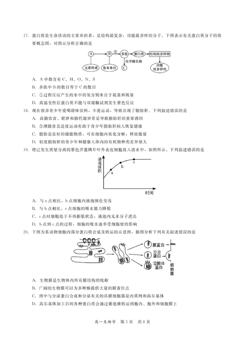广东省多校联考2025-2026学年高一上学期12月期中生物试题_2025年12月高一试卷_251213广东省多校联考2025-2026学年高一上学期12月期中