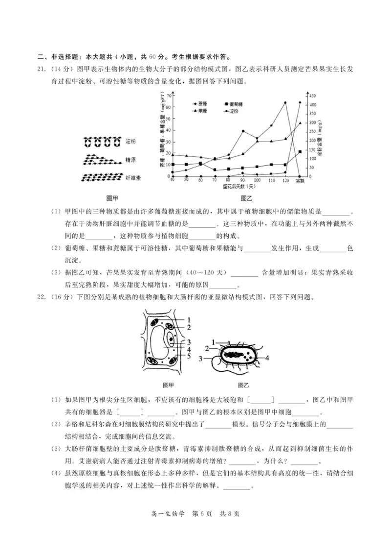 广东省多校联考2025-2026学年高一上学期12月期中生物试题_2025年12月高一试卷_251213广东省多校联考2025-2026学年高一上学期12月期中