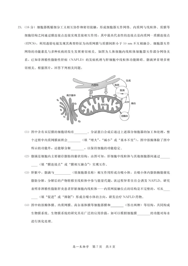 广东省多校联考2025-2026学年高一上学期12月期中生物试题_2025年12月高一试卷_251213广东省多校联考2025-2026学年高一上学期12月期中