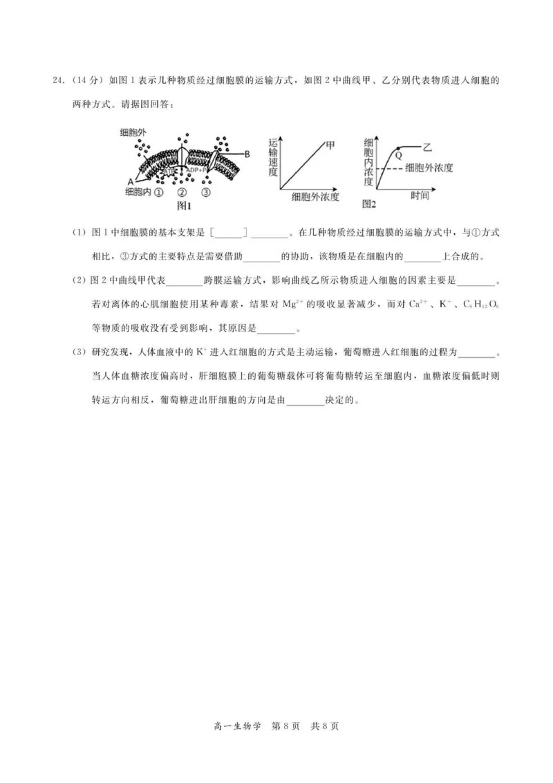广东省多校联考2025-2026学年高一上学期12月期中生物试题_2025年12月高一试卷_251213广东省多校联考2025-2026学年高一上学期12月期中