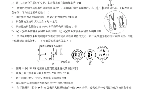 山东省济宁市第一中学2024-2025学年高一下学期3月月考生物试题_2025年04月试卷_0407山东省济宁市第一中学2024-2025学年高一下学期3月月考