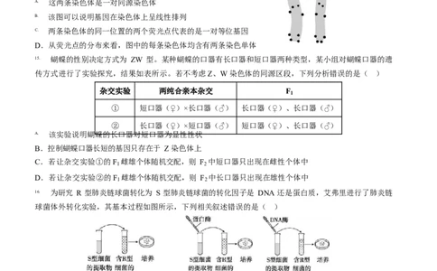 山东省济宁市第一中学2024-2025学年高一下学期3月月考生物试题_2025年04月试卷_0407山东省济宁市第一中学2024-2025学年高一下学期3月月考