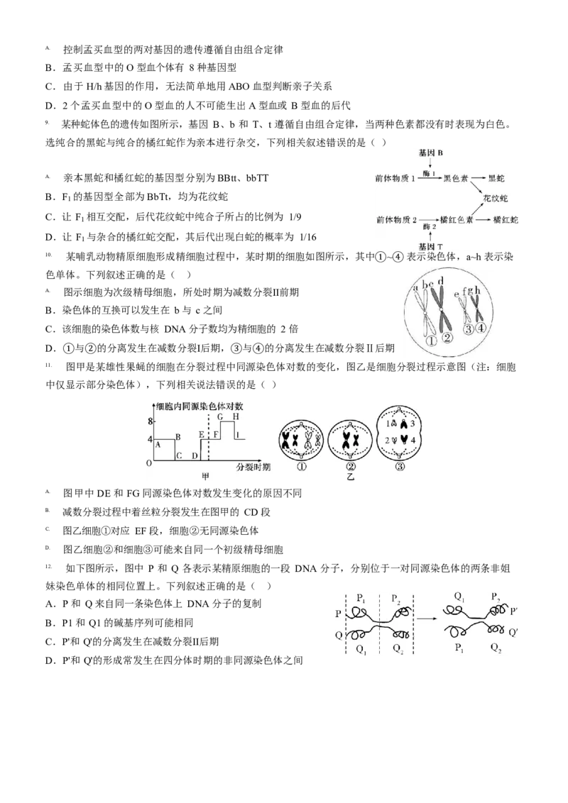 山东省济宁市第一中学2024-2025学年高一下学期3月月考生物试题_2025年04月试卷_0407山东省济宁市第一中学2024-2025学年高一下学期3月月考