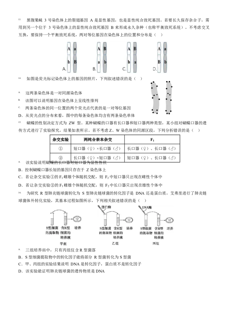 山东省济宁市第一中学2024-2025学年高一下学期3月月考生物试题_2025年04月试卷_0407山东省济宁市第一中学2024-2025学年高一下学期3月月考