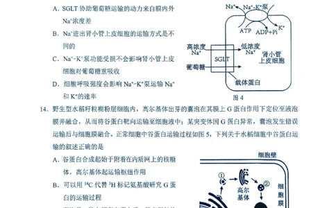 广东省梅州市2024-2025学年高一上学期1月期末生物试题_2025年03月试卷_0324广东省梅州市2024-2025学年高一上学期1月期末考试