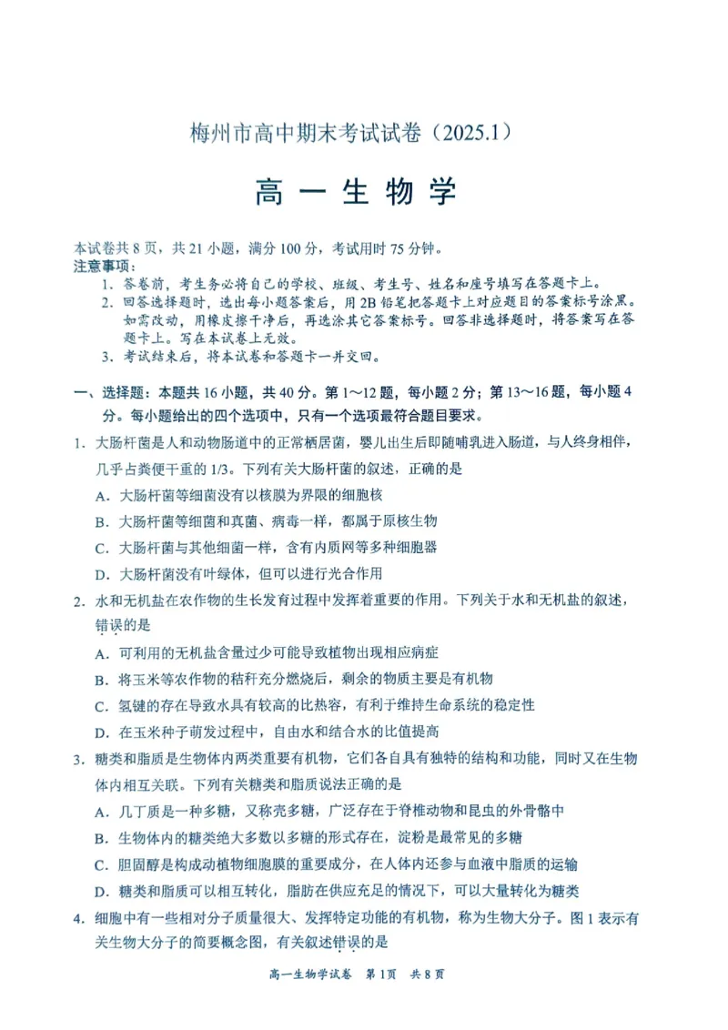 广东省梅州市2024-2025学年高一上学期1月期末生物试题_2025年03月试卷_0324广东省梅州市2024-2025学年高一上学期1月期末考试