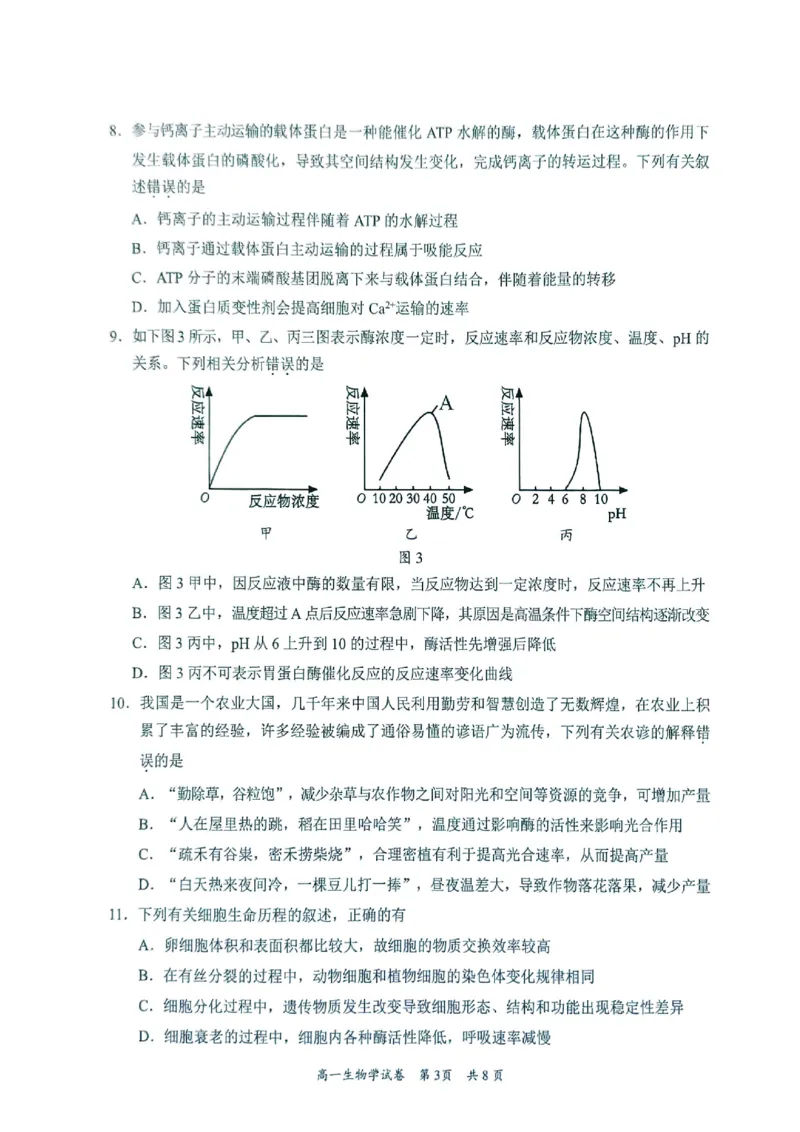 广东省梅州市2024-2025学年高一上学期1月期末生物试题_2025年03月试卷_0324广东省梅州市2024-2025学年高一上学期1月期末考试