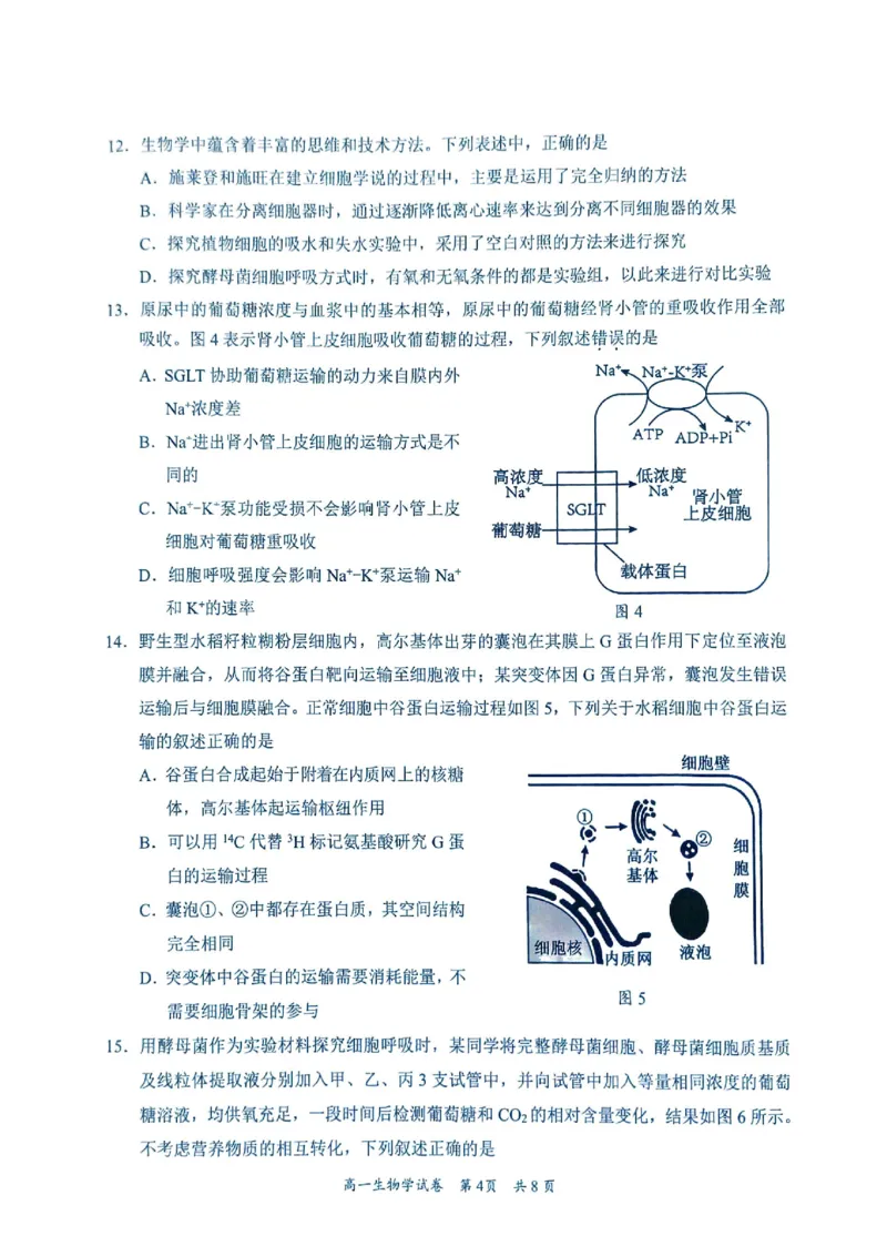 广东省梅州市2024-2025学年高一上学期1月期末生物试题_2025年03月试卷_0324广东省梅州市2024-2025学年高一上学期1月期末考试