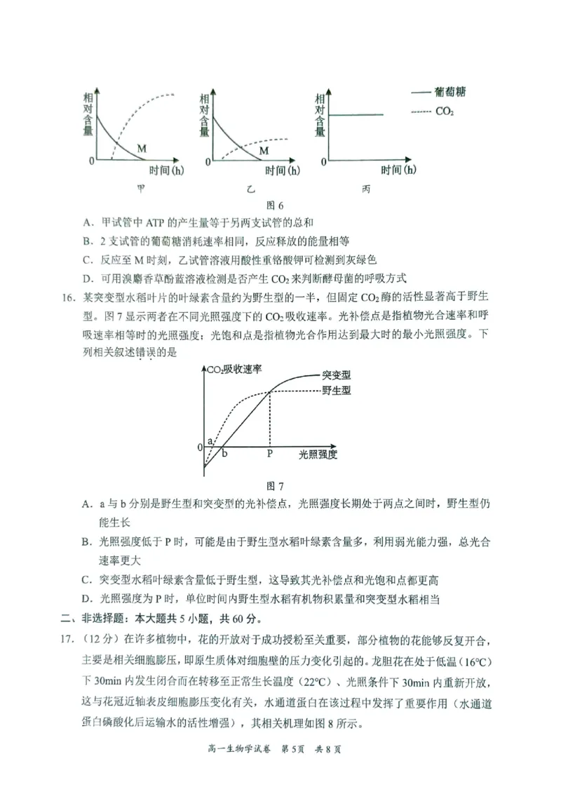 广东省梅州市2024-2025学年高一上学期1月期末生物试题_2025年03月试卷_0324广东省梅州市2024-2025学年高一上学期1月期末考试