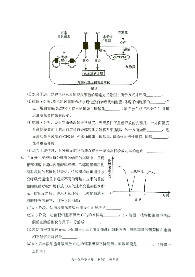 广东省梅州市2024-2025学年高一上学期1月期末生物试题_2025年03月试卷_0324广东省梅州市2024-2025学年高一上学期1月期末考试