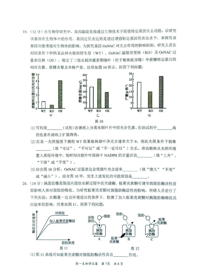 广东省梅州市2024-2025学年高一上学期1月期末生物试题_2025年03月试卷_0324广东省梅州市2024-2025学年高一上学期1月期末考试