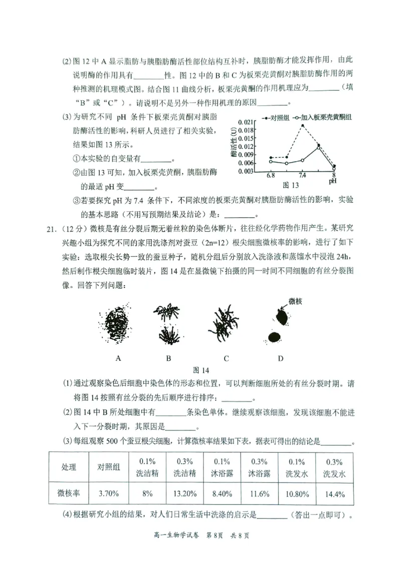 广东省梅州市2024-2025学年高一上学期1月期末生物试题_2025年03月试卷_0324广东省梅州市2024-2025学年高一上学期1月期末考试