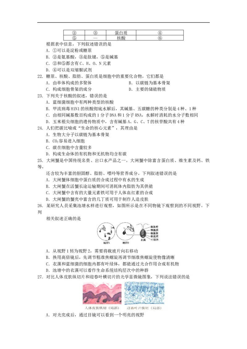 广东省深圳市2025-2026学年高一上学期10月期中多校联考生物试卷_2025年11月高一试卷_251106广东省多校联考2025-2026学年高一上学期10月阶段联考（全）