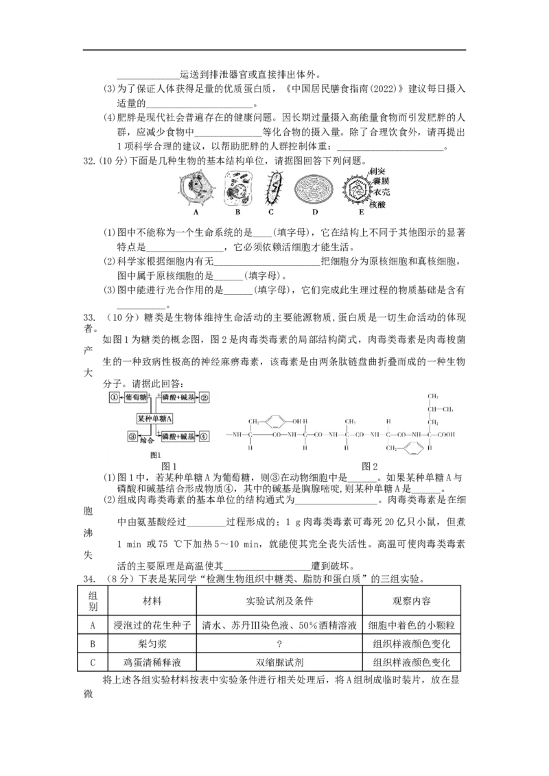 广东省深圳市2025-2026学年高一上学期10月期中多校联考生物试卷_2025年11月高一试卷_251106广东省多校联考2025-2026学年高一上学期10月阶段联考（全）